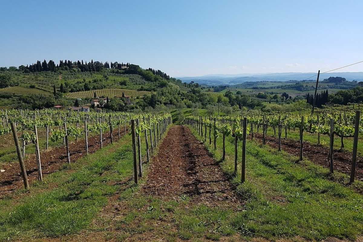 Borgo Sicelle