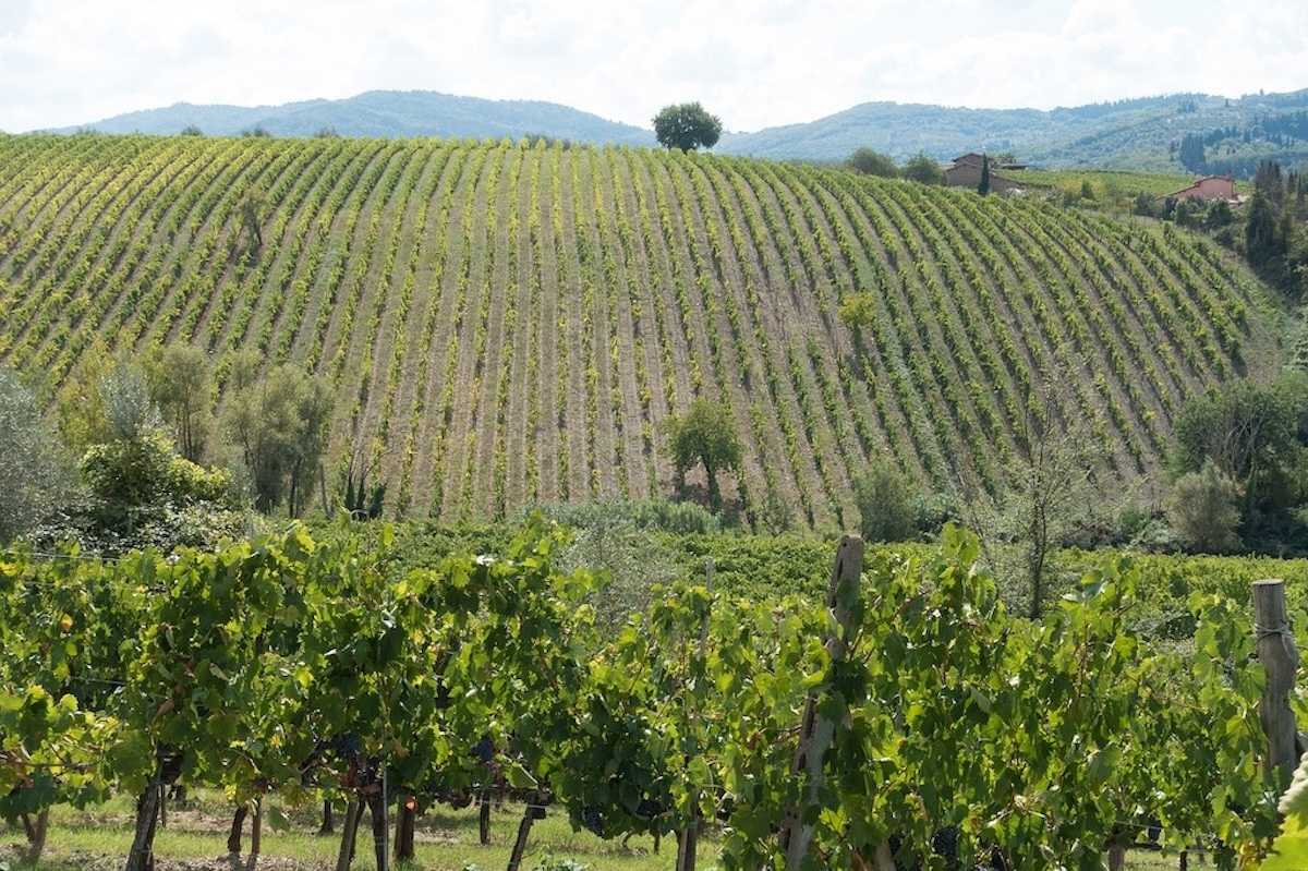 Borgo Sicelle